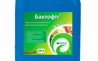 Бактофит