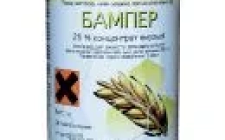 Бутылка с фунгицидом Бампер на желтом фоне