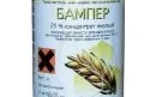 Бутылка с фунгицидом БАМПЕР на фоне - Бампер Супер 490