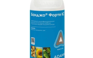 Бутелька з фунгіцидом Банджо Форте КС на синій етикетці - Банжо КС