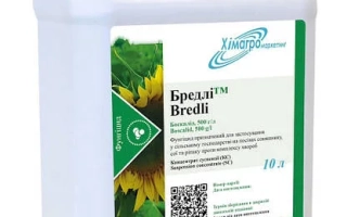 Барклей Корриб