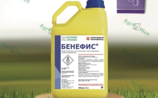 Желтая канистра с фунгицидом Бенефис на деревянном подставке на фоне зеленой травы.