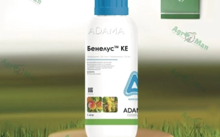 Бутылка фунгицида Бенелус KE на деревянной подставке на фоне травы