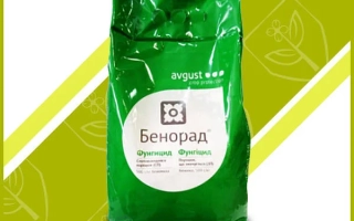 Бенорад з.п.