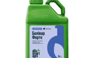 Зелена канистра з етикеткою Болівар Форте