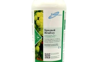 Бродвей, КС