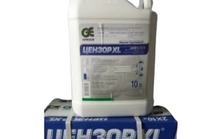 Белая канистра с надписью ЦЕНЗОР XL на упаковке фунгицида. - Цензор ХL FS