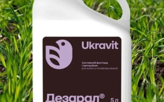 White jug with label «Dezaral» on green grass background - Dezar-Zorya