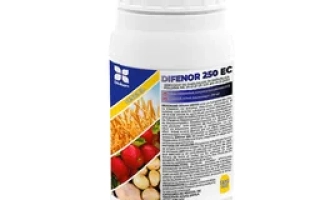 Династи 250 в.е.