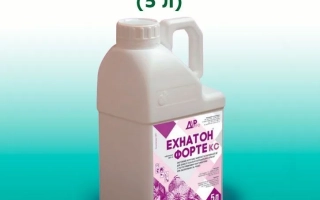 Ехнатон Форте