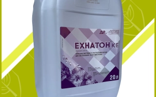 Ехнатон к.е.