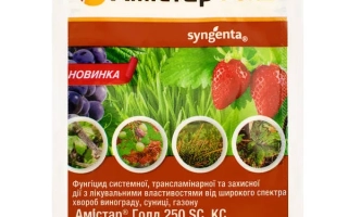 Ексстрата ГОЛД SС