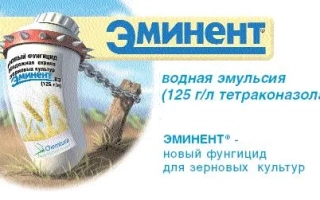 Эминент