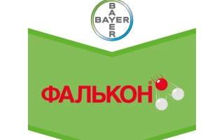 Фалькон 460 ЕС