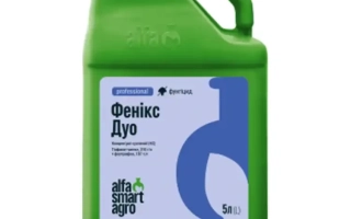 Зеленая канистра с этикеткой Феникс Дуо