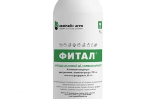 Фитал в.р.к.
