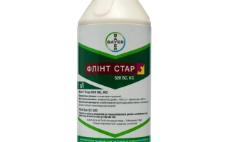 Флінт Стар 520 SС