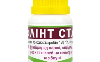 Флінт Стар 520 SС к.е.