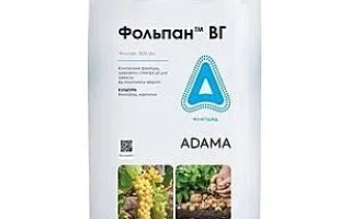Пакет с фунгицидом Фольпан ВГ от ADAMA - Фольпан 50з.п.