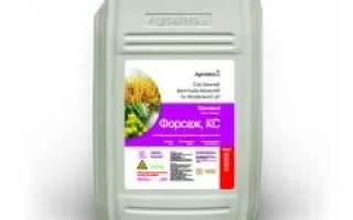 Форсаж 500 SС