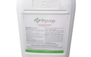 Фулгор 250 КС