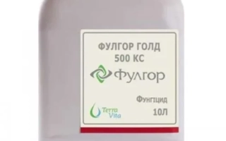 Каністра Фулгор Голд 500 КС, фунгіцид 10 л