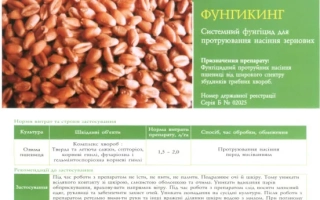 Фунгицид ФУНГИКИНГ на фоне семян
