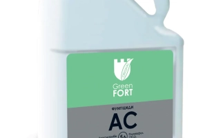 Грінфорт АС, КС