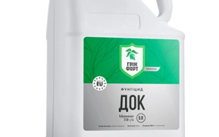 Грінфорт Док