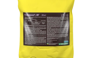 Инферно, ВГ