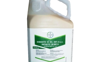 Фунгіцид Інфініто 61SC, 687,5КС у пластиковій канистрі з етикеткою