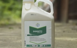 Інфініто SС 61