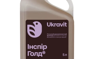 Инспир Голд