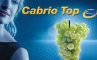 Кабрио Топ