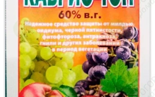 Кабрио®Топ