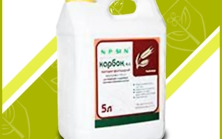 Біла канистра з етикеткою КАРБОН об'ємом 5 л на зеленому фоні - КАРБОН, КС