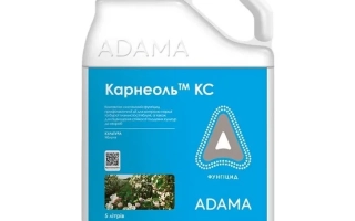 Карнеол, КС