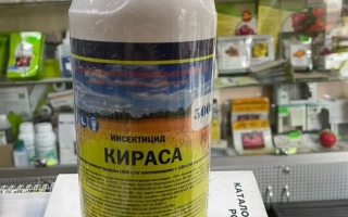 Кираса