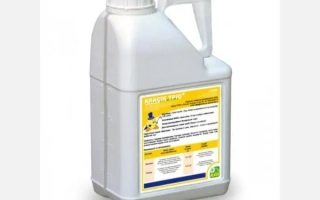 Класік Тріо