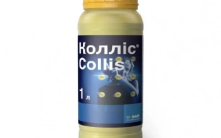 Коллис®