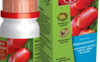 Фунгицид Концентро в упаковке с изображением томатов - Консенто 450 SС