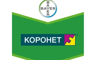 Логотип и название продукта КОРОНЕТ на зеленом фоне