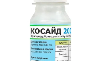 Косайд 2000 в.г.