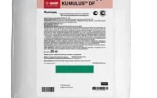 Мешок с фунгицидом Кумулюс ДФ