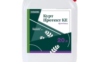 Курт Протект