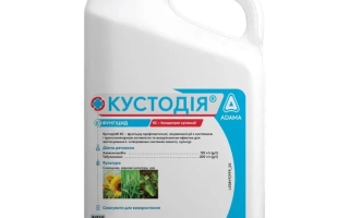 Кустодия КС