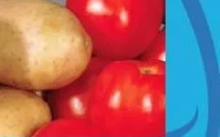 Квадрис Топ 325 SС