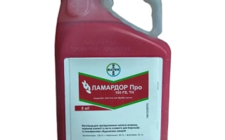 Ламардор Про 180FS