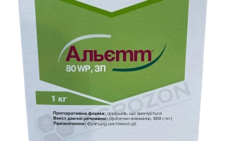 Ламетил WР з.п.