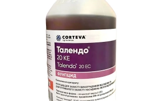 Флакон с фунгицидом Толендо 20 КС - Латитюд